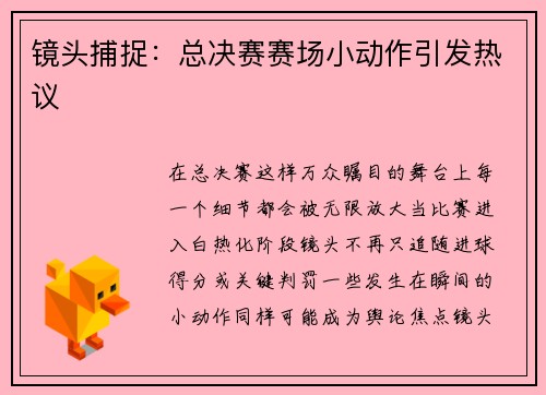 镜头捕捉：总决赛赛场小动作引发热议